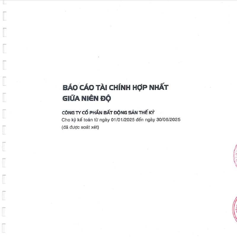 Báo cáo tài chính hợp nhất bán niên 2025 đã được soát xét